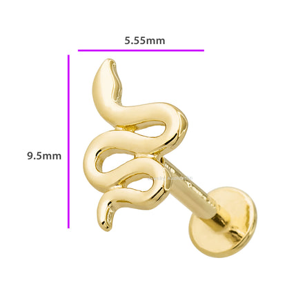 Jewelry Avalanche Solid 14K Gold Snake Labret Stud, Helix, Tragus, 8mm Post, Internally Threaded, Flat Back