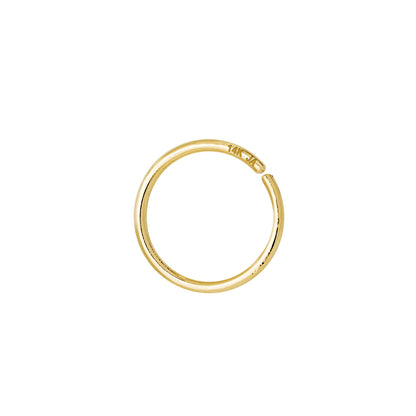 Jewelry Avalanche 20G 14K Yellow Gold Seamless Nose Hoop Ring, Twist-open Ring