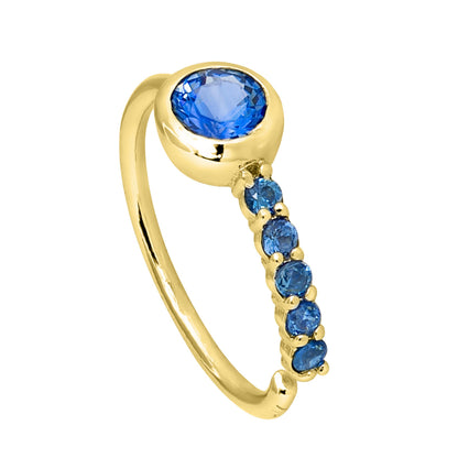 Jewelry Avalanche 20G 14K Gold Bezel Blue Sapphire Nose Hoop Ring, 5/16"(8mm)