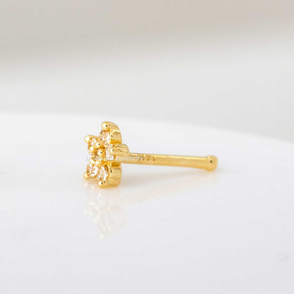 Jewelry Avalanche 20G 14K Yellow Gold CZ Accented Flower Nose Bone Nose Ring Stud